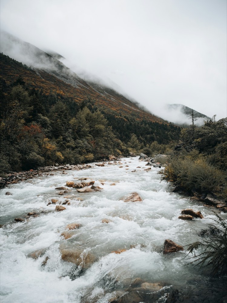 峡谷激流奔涌,云雾漫过山林