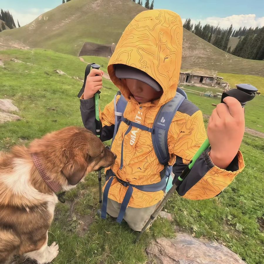 牧羊犬凑近穿黄色冲锋衣的小徒步者